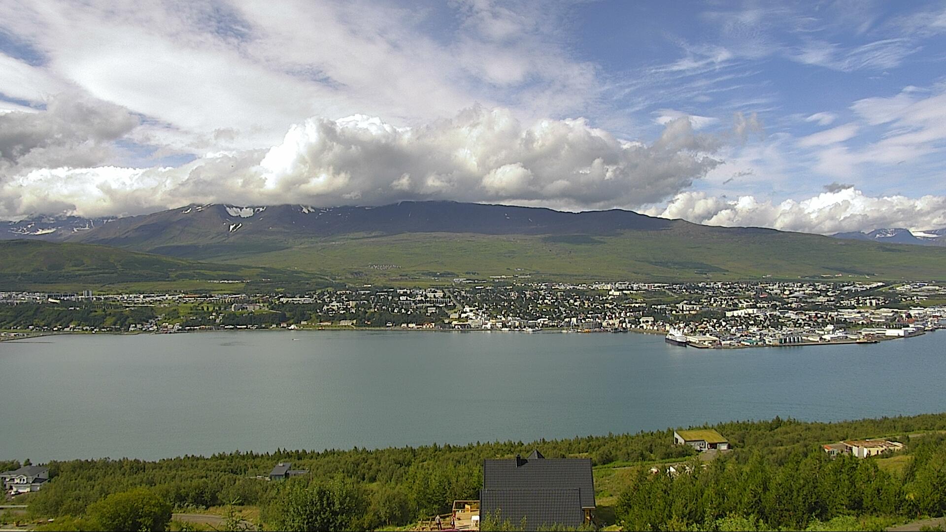 LiveCam Island